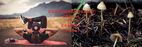 а пвп мука Богородицк