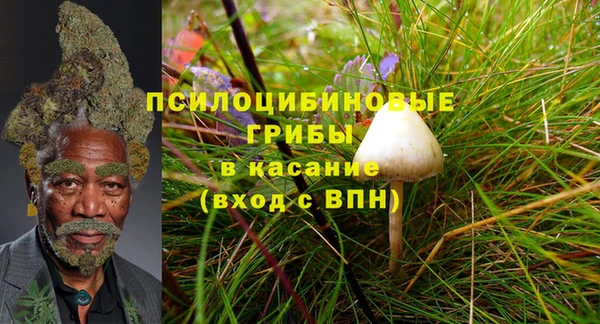 амф Богородск