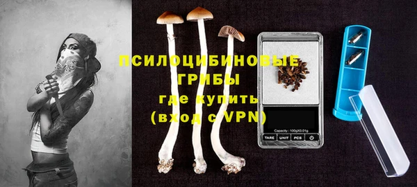 прущие крисы Богданович